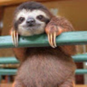 Meet your Posher, Mia